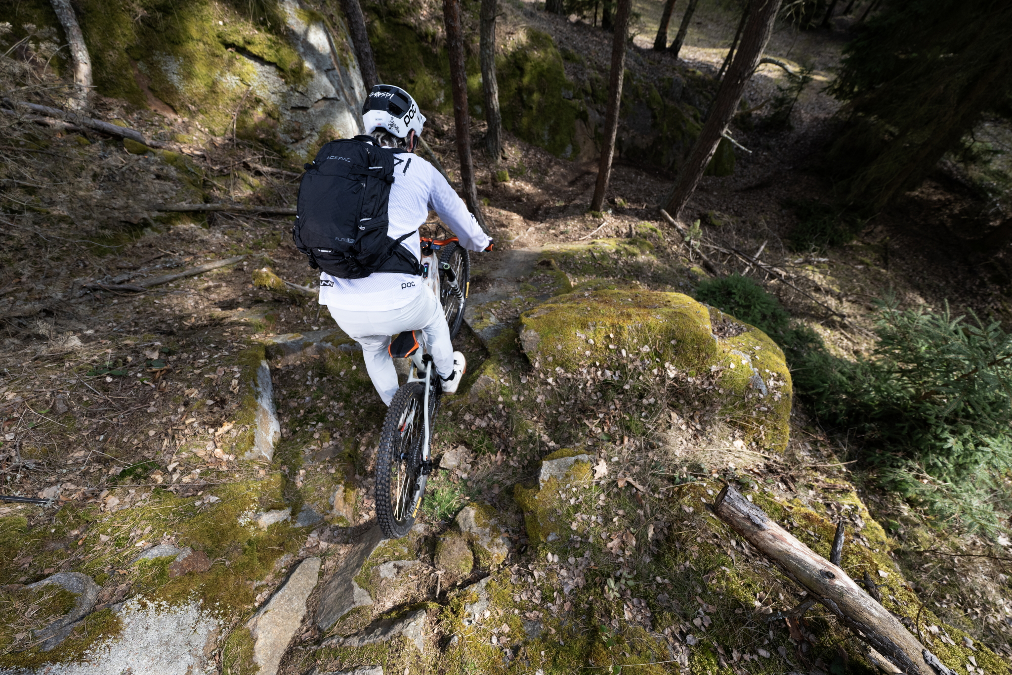 M_S Z 326 (10)_small